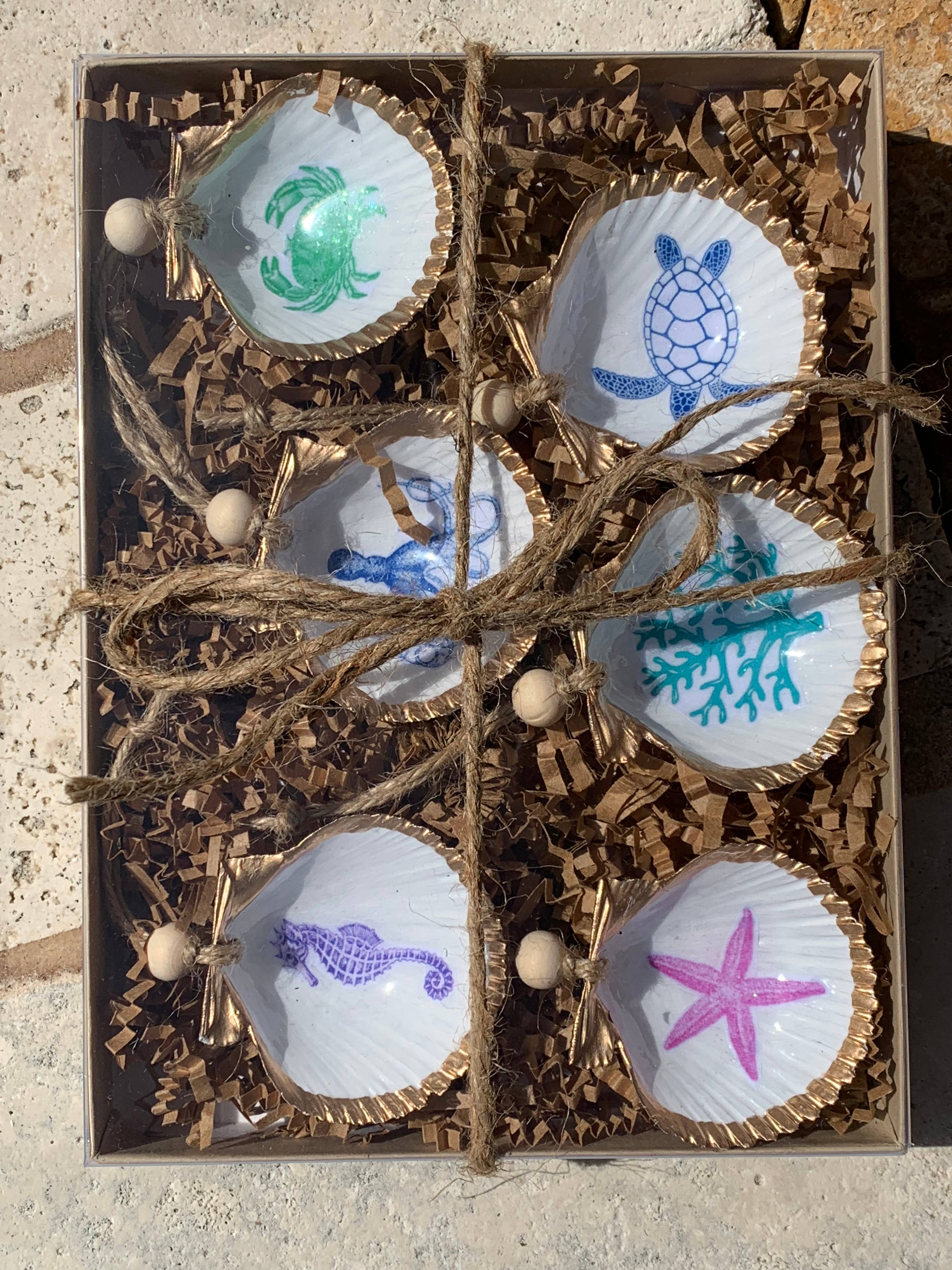 DogFish Design 13 – Großhandel Verzierungs-Set – Mini-Muschel für Meerestiere, 6 Stück2