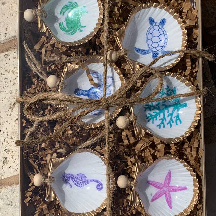 DogFish Design 13 - Wholesale Ornament Set - Sea Creatures Mini Shell 6 pk2