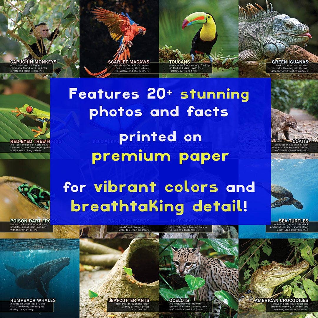 My Incredible World - Vente Livre sur la nature et les activités de plein air - Animaux du Costa Rica ! Un livre d'images de mon incroyable monde pour enfants4