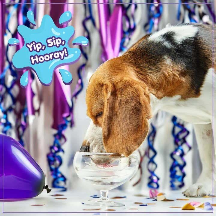 Pet Palette Distribution - Wholesale Pet Treats - Dog - Lazy Dog Pup-POP Birthday Water Vanilla Cake Flavor 4pk