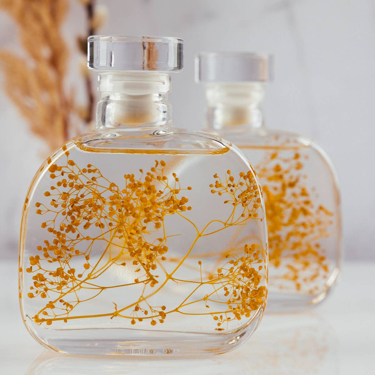 Theophile Berthon – wholesale Levande växt – Herbariumkapsel - Safrankärleksört nedsänkt växt8