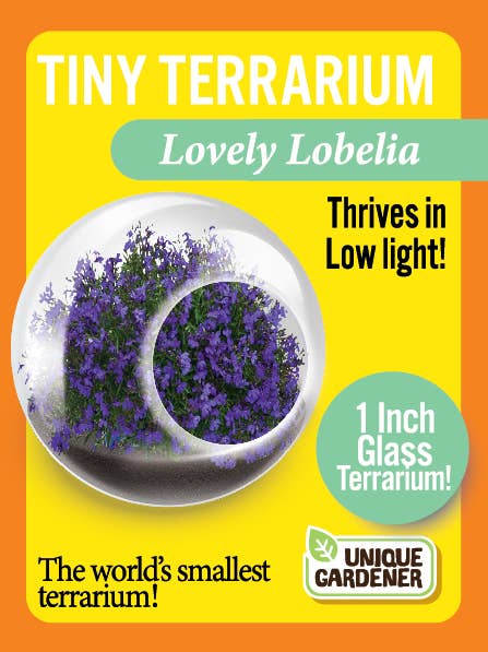 Silver Circle Products - Wholesale Retailer Display - Home & Living - Tiny Terrariums Flowering Counter Display with 6 Varieties9