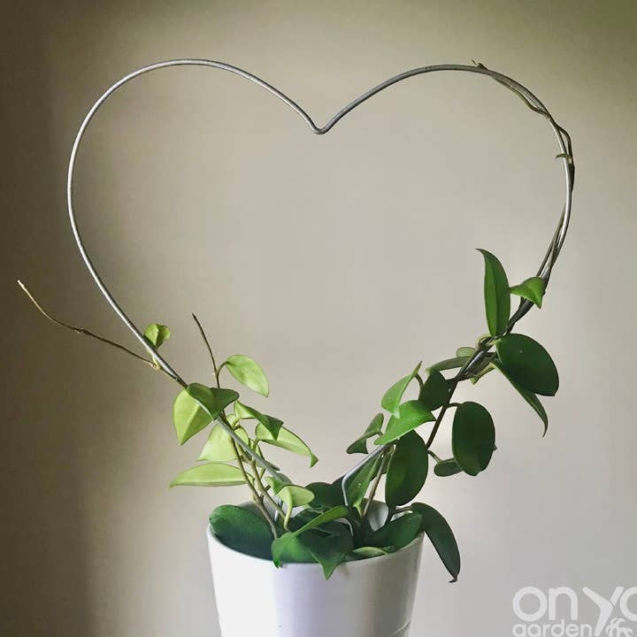 Steel Heart Plant Trellis for wholesale by On Ya Garden