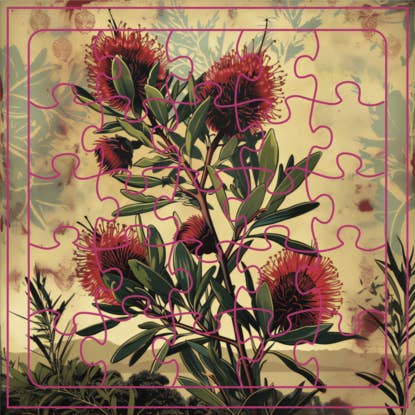 Tarjeta de rompecabezas Australian Bottlebrush para venta al por mayor de ikonink