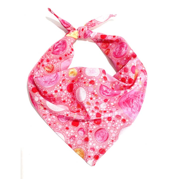 Cape Crafter – Engroshandel Bandana - Hund – Kæledyrsbandanas i hverdagsstil - assorterede mønstre9