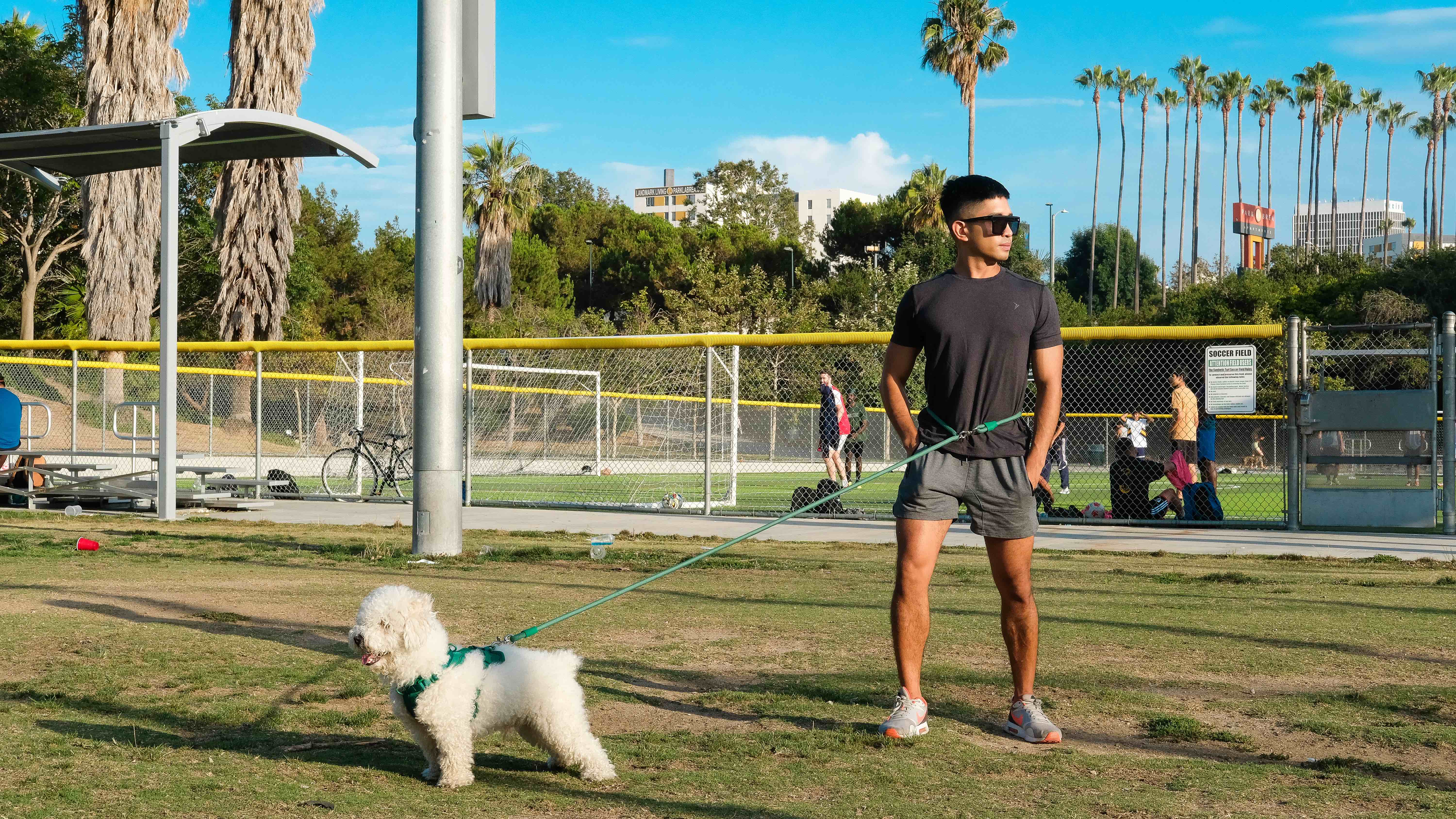 Come Here Buddy - Wholesale Pet Leash - Dog - Dog Leash Kismet Hands Free14