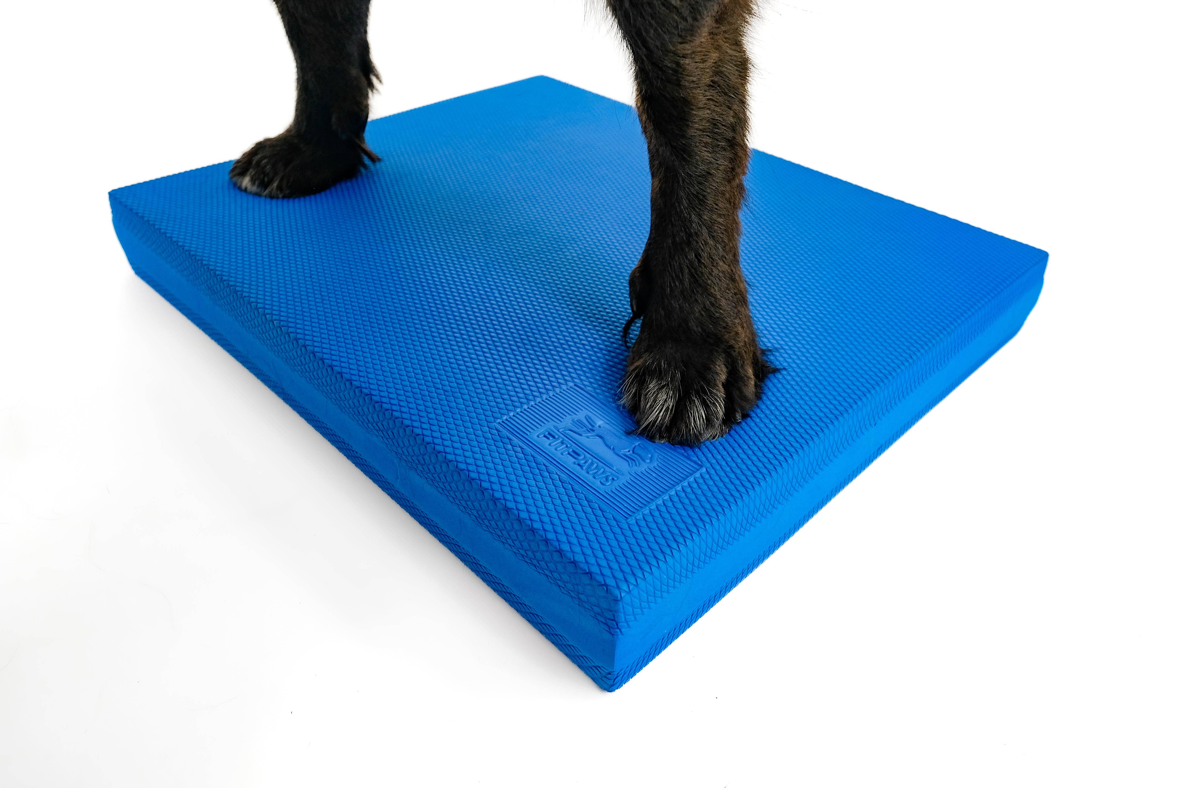FitPAWS - Venta al por mayor Juguete - Perros - FitPAWS® Almohadilla de Equilibrio 15" x 18.25" x 2"3