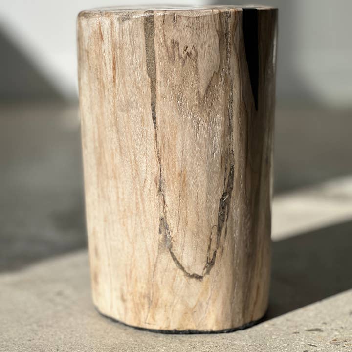 Office Objets - Wholesale Side Table - White petrified wood side table with black spots H:27.5 D:1857