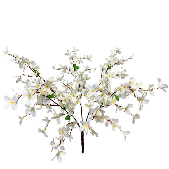 Tweedia Bush x 5 - 24” - Cream for wholesale by David Christopher's Collection