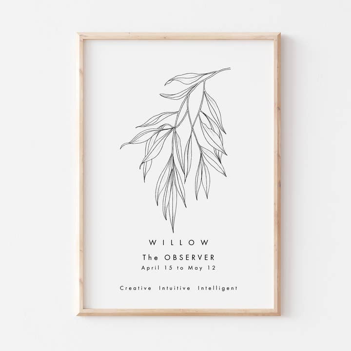 Keltiska träd Astrologi Print- Willow för wholesale av Lara Vinck