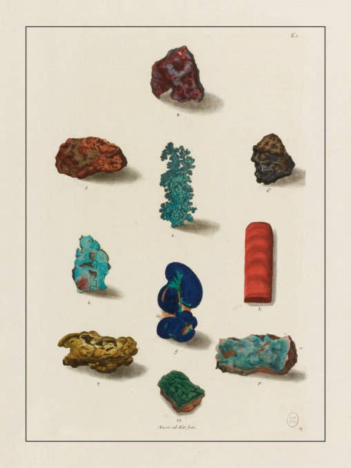 Cabinet of Curiosities – Minerals for wholesale by Les Jolies Planches