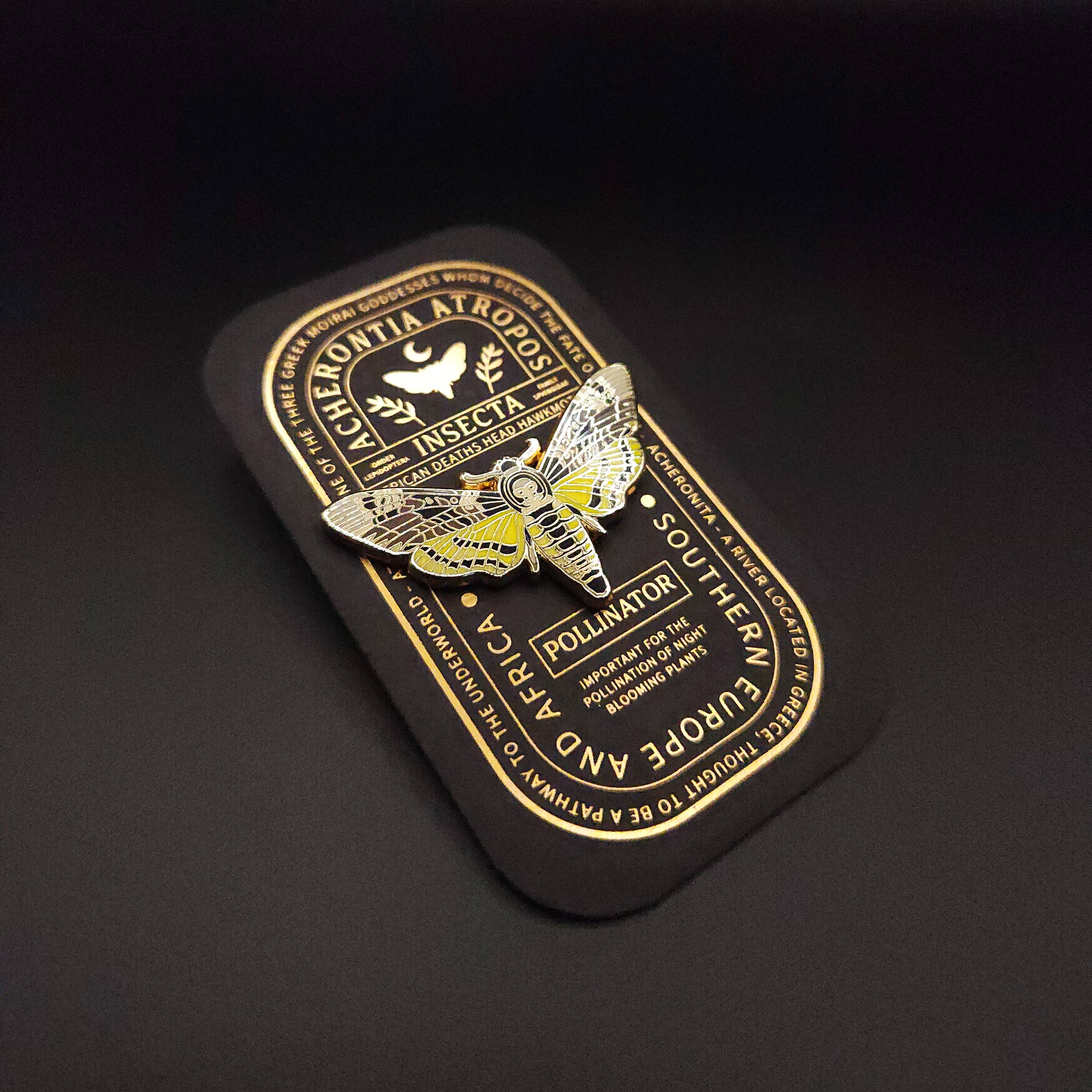 Pinsects – Großhandel Anstecker/Button – African Deaths Head Emailles-Nadel für pädagogische Insekten2