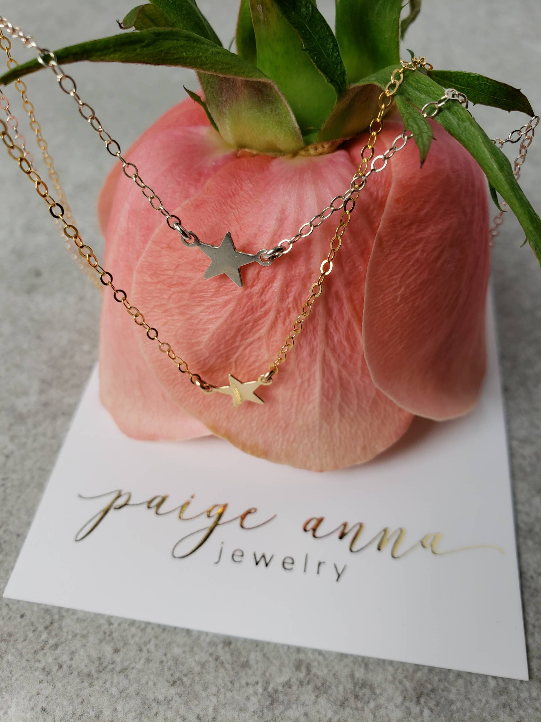 Paige Anna Jewelry - Wholesale Pendant/Charm Necklace - Solid Star Necklace1