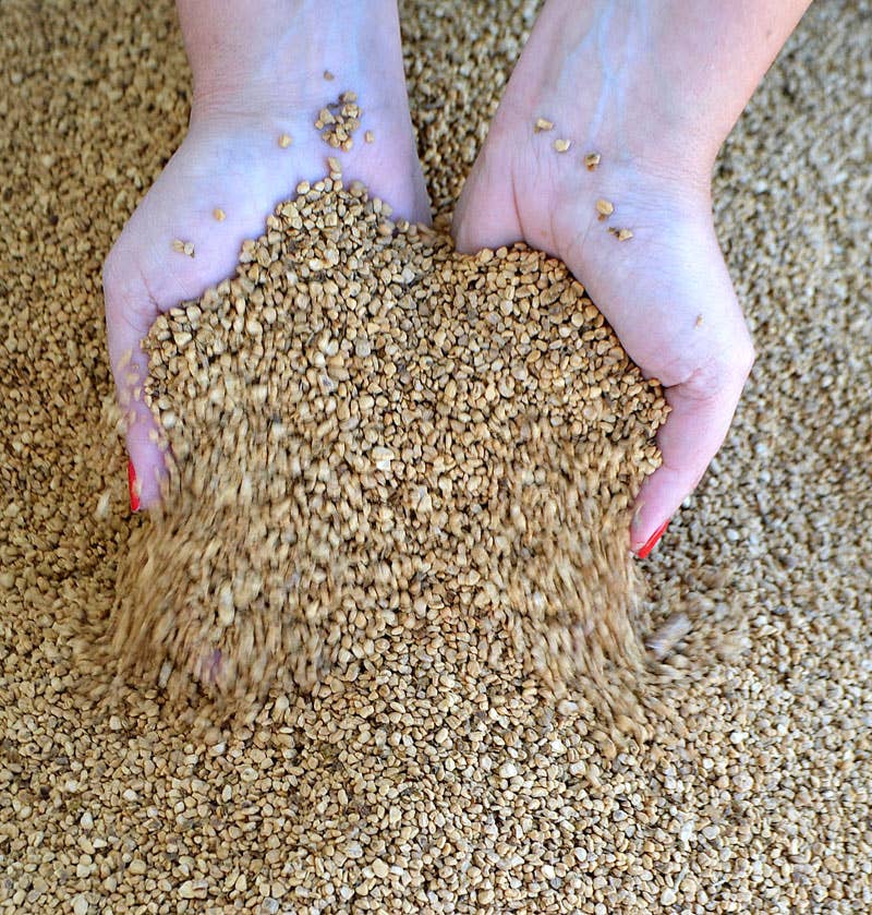 Mercenatura - Vente Compresses chaud/froid - Sac thermique basique aux noyaux d'olive et herbes aromatiques5