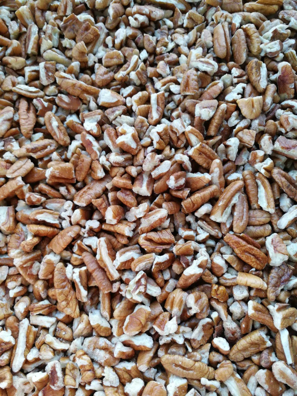 South Texas Pecans - Wholesale Nuts - Shelled Pecan Pieces1