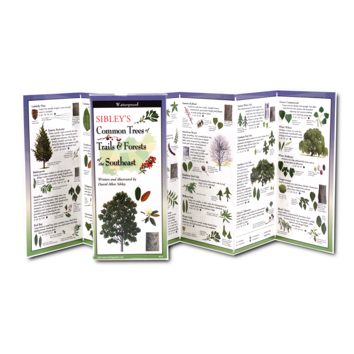Earth Sky + Water - Wholesale Nature & Outdoors Book - Sibley's Trees of Trails and Forests of the Southeast1
