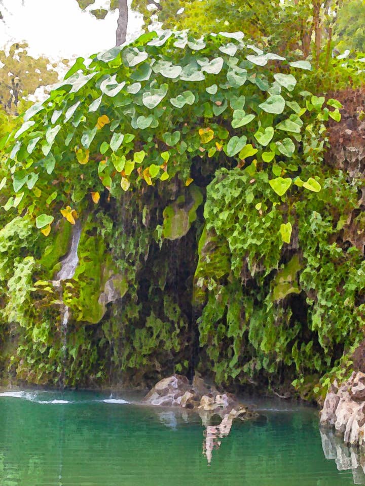 Watercolor Digital Prints - Tropical Foliage for wholesale by My Curly Adventures