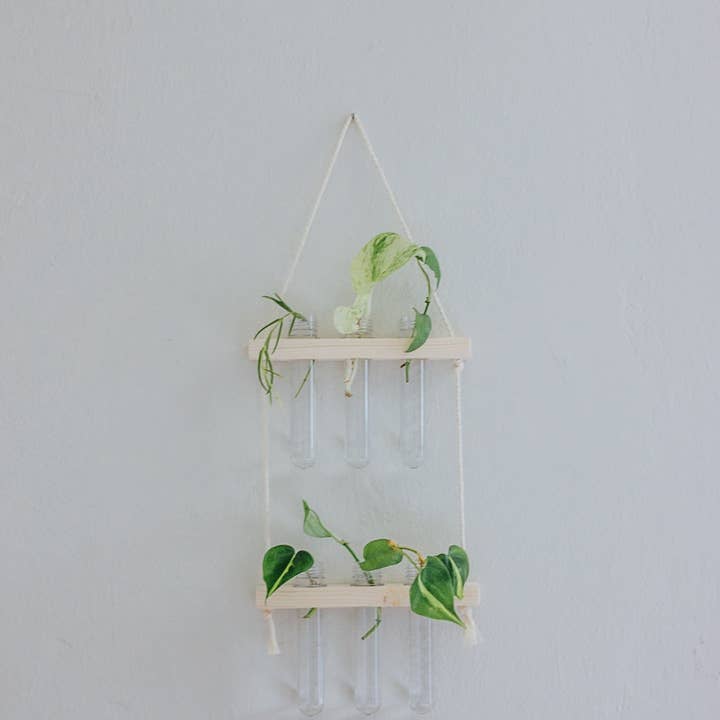 The Plant Committee - Wholesale Wall Planter - Hanging Propagation Station | Wall Vase | Pick your size