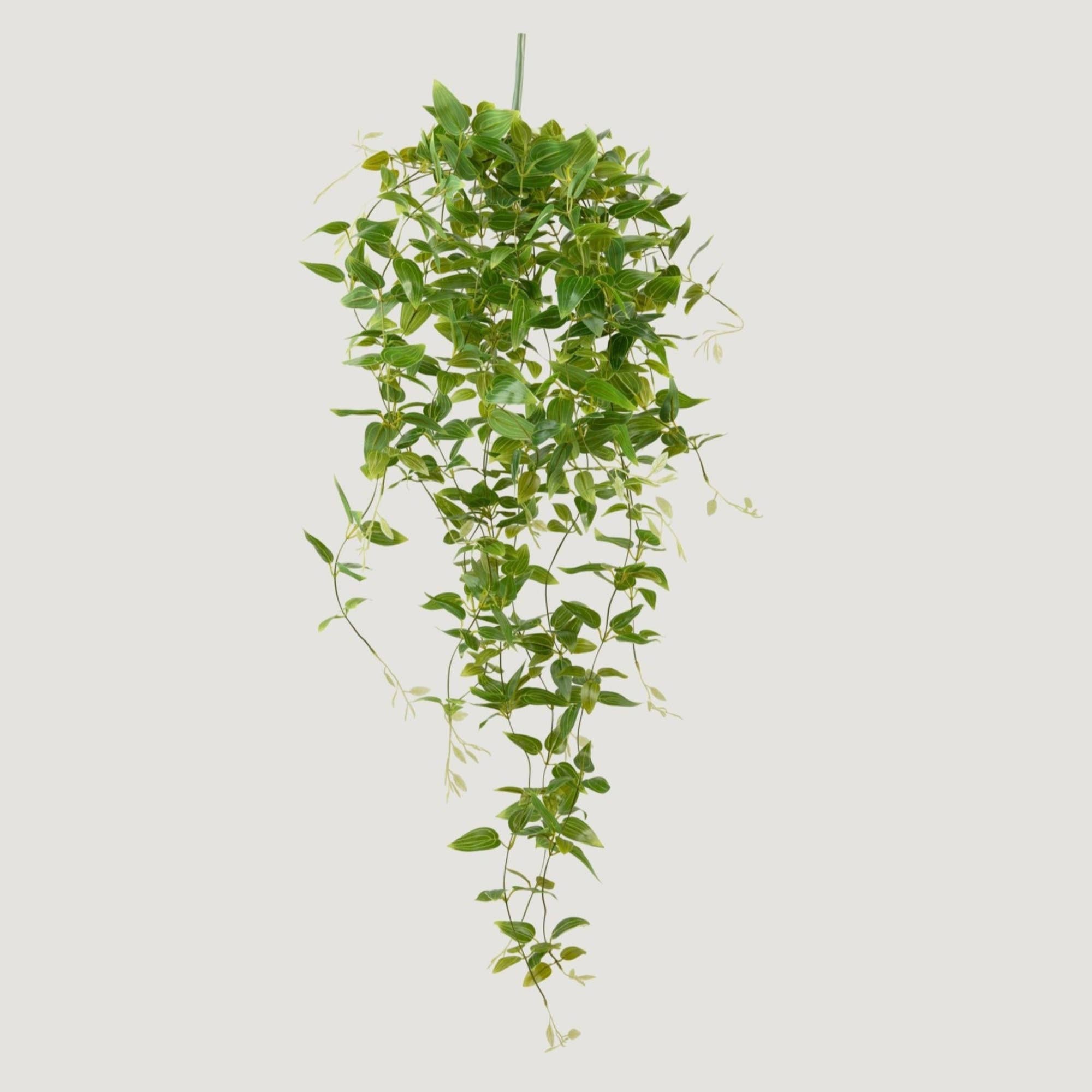 Afloral - Vente Plantes artificielles - Plante Artificielle de Luxe Suspendue Tradescantia - 104 cm1
