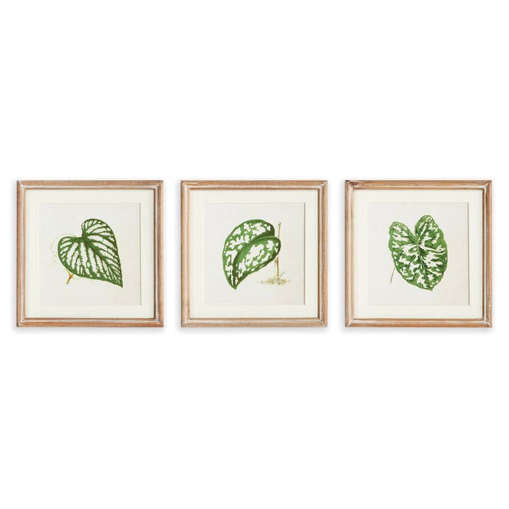 Leaf Cuttings Petite Prints for wholesale by Napa Home & Garden