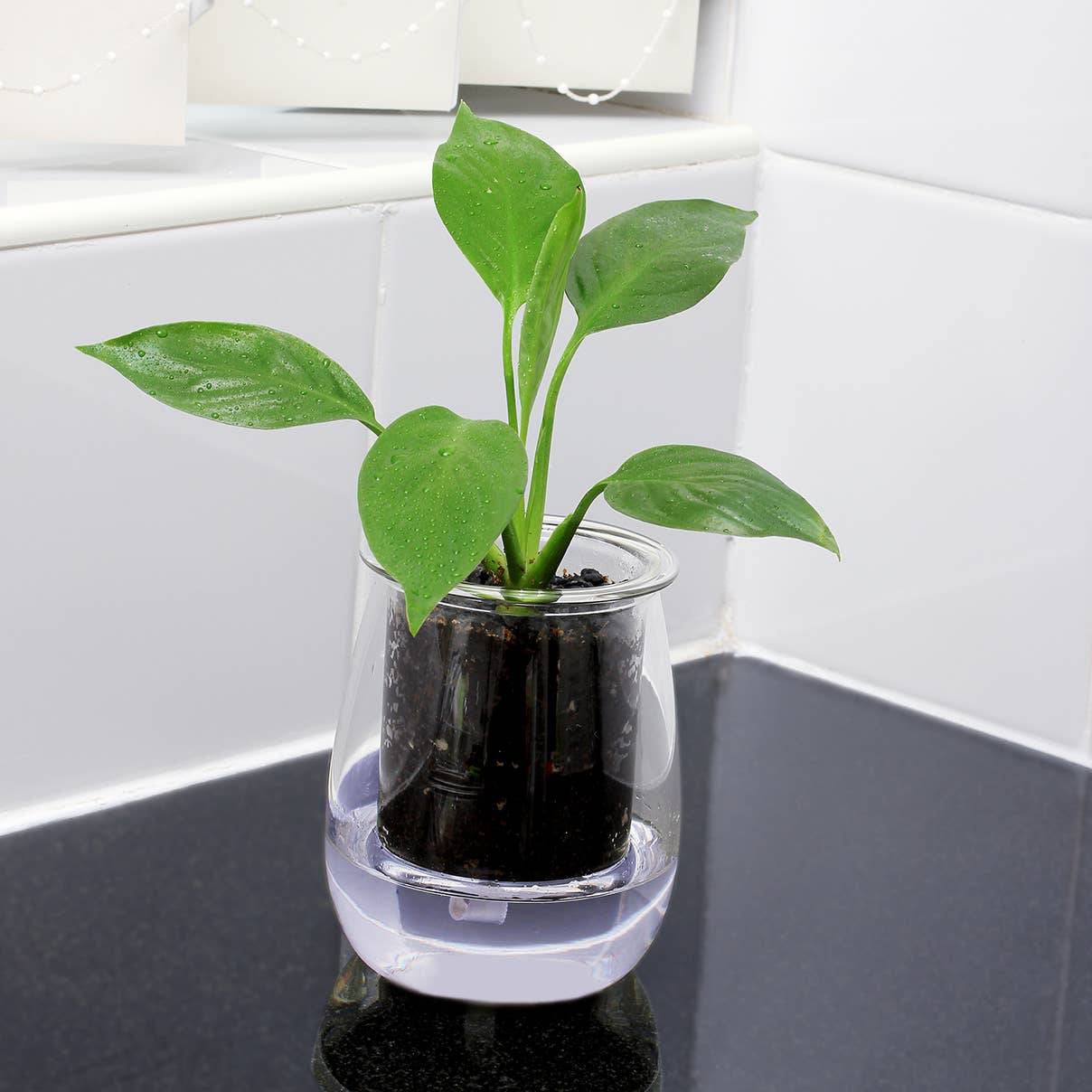 CUP O FLORA® – wholesale Plant pot – Mini Self-watering Planter1