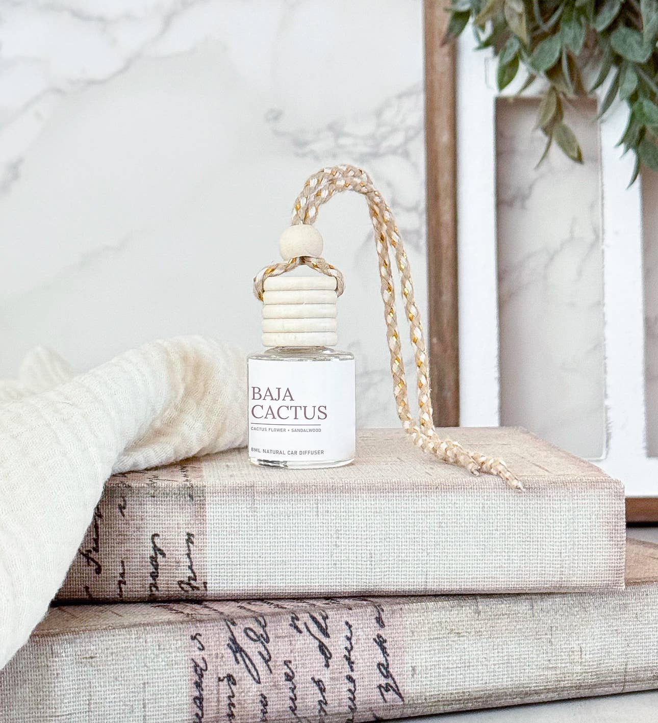 Spirit Glow Home & Body Essentials - Wholesale Car Freshener - Unisex - Baja Cactus Hanging Car Diffuser