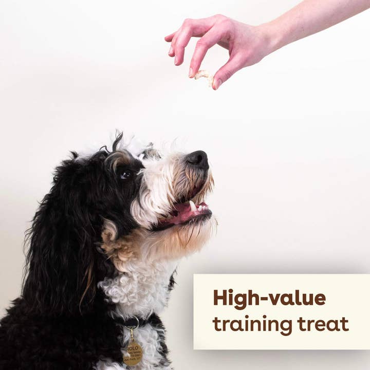 Pupford - Wholesale Pet Treats - Dog - Freeze Dried Shrimp Training Treats7