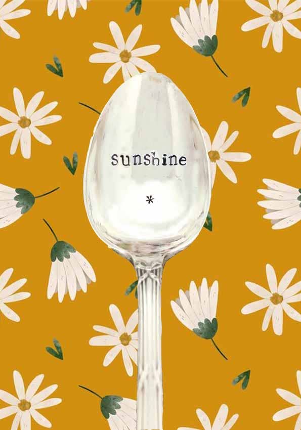 Monnette Paris - Wholesale Table Spoon (Cutlery) - Dessert spoon1