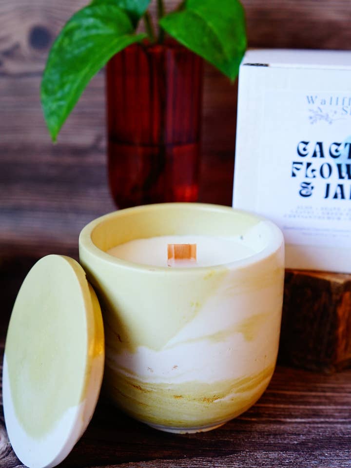 Candela in cemento con fiori di cactus e giada per la vendita all'ingrosso da parte di The Wallflower Shoppe