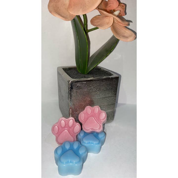 Estampados de patas para venta al por mayor de The Small Wax Co