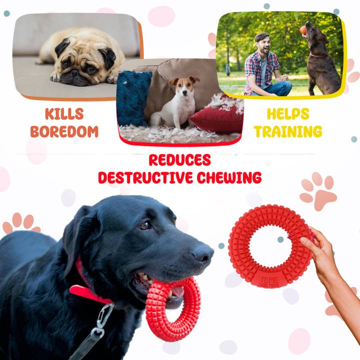 TOME DOG TOYS - Wholesale Pet Chew Toy - Dog - Dog Chew Toy & Toothbrush – For Aggressive Chewers | Durable3