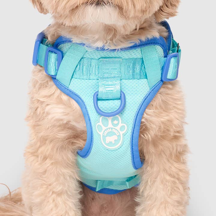 Max Chill Cooling Harness for wholesale by Canada Pooch