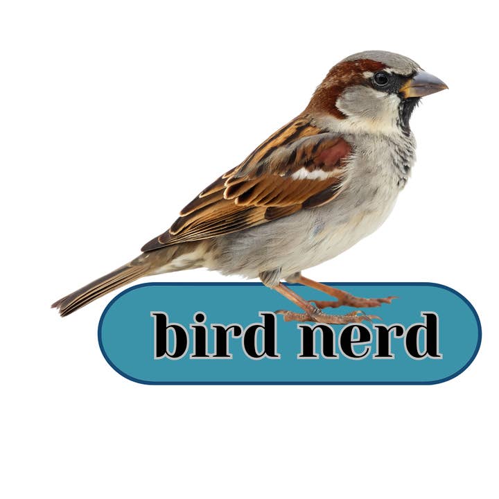 Bird Nerd Chickadee Die-Cut Sticker for wholesale by Jaala Spiro