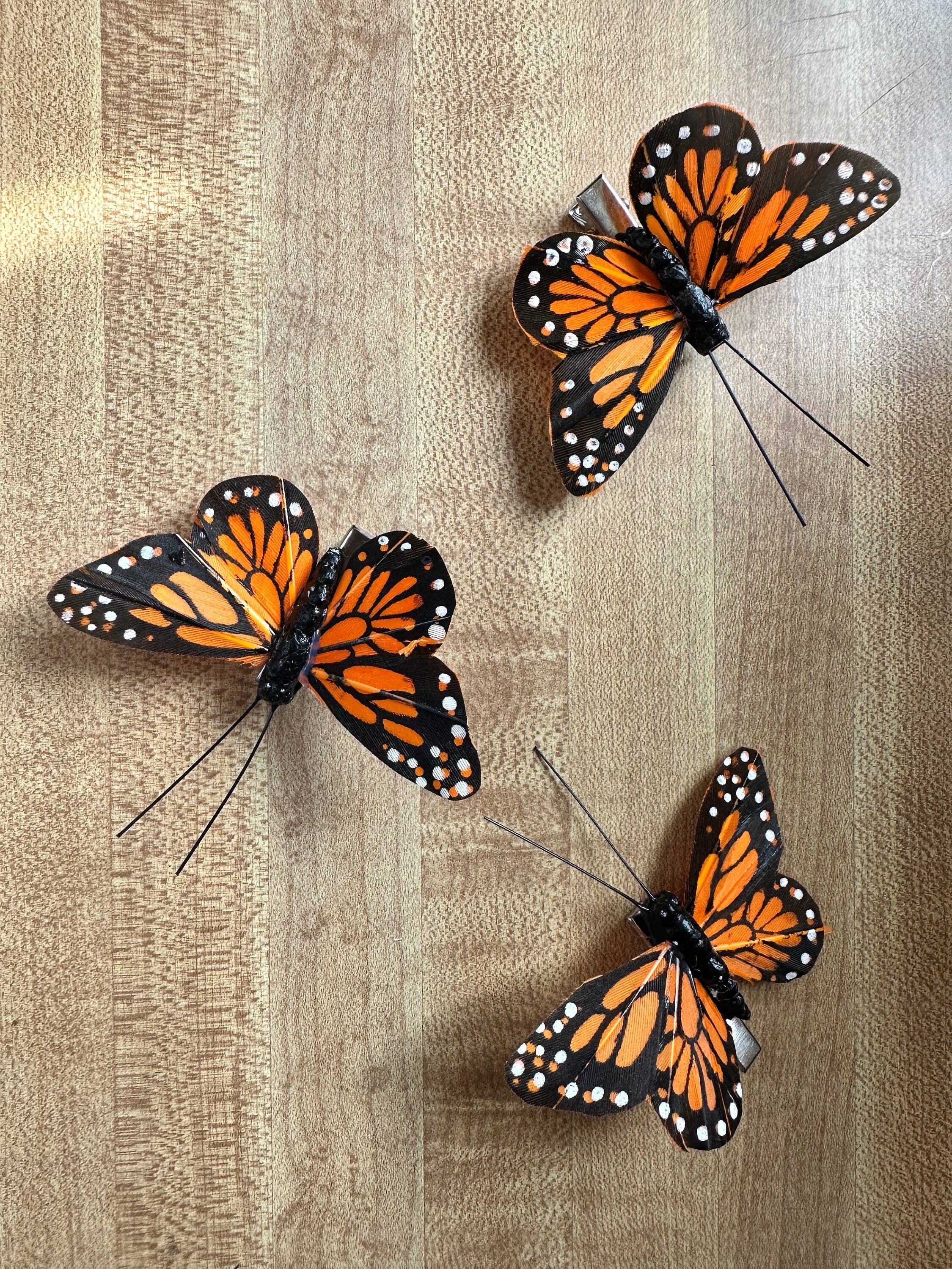 Shutterhaus – wholesale Hair clip – Women’s – Butterfly Hair Clips - Renaissance Faire Fairy Accessories4