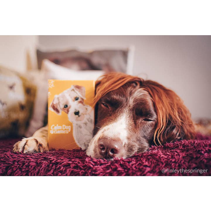 Calm Dog Games - Vente Jeux de cartes - Ensemble d'enrichissement (Jeux cérébraux pour chiens) - Recommandé par la RSPCA14