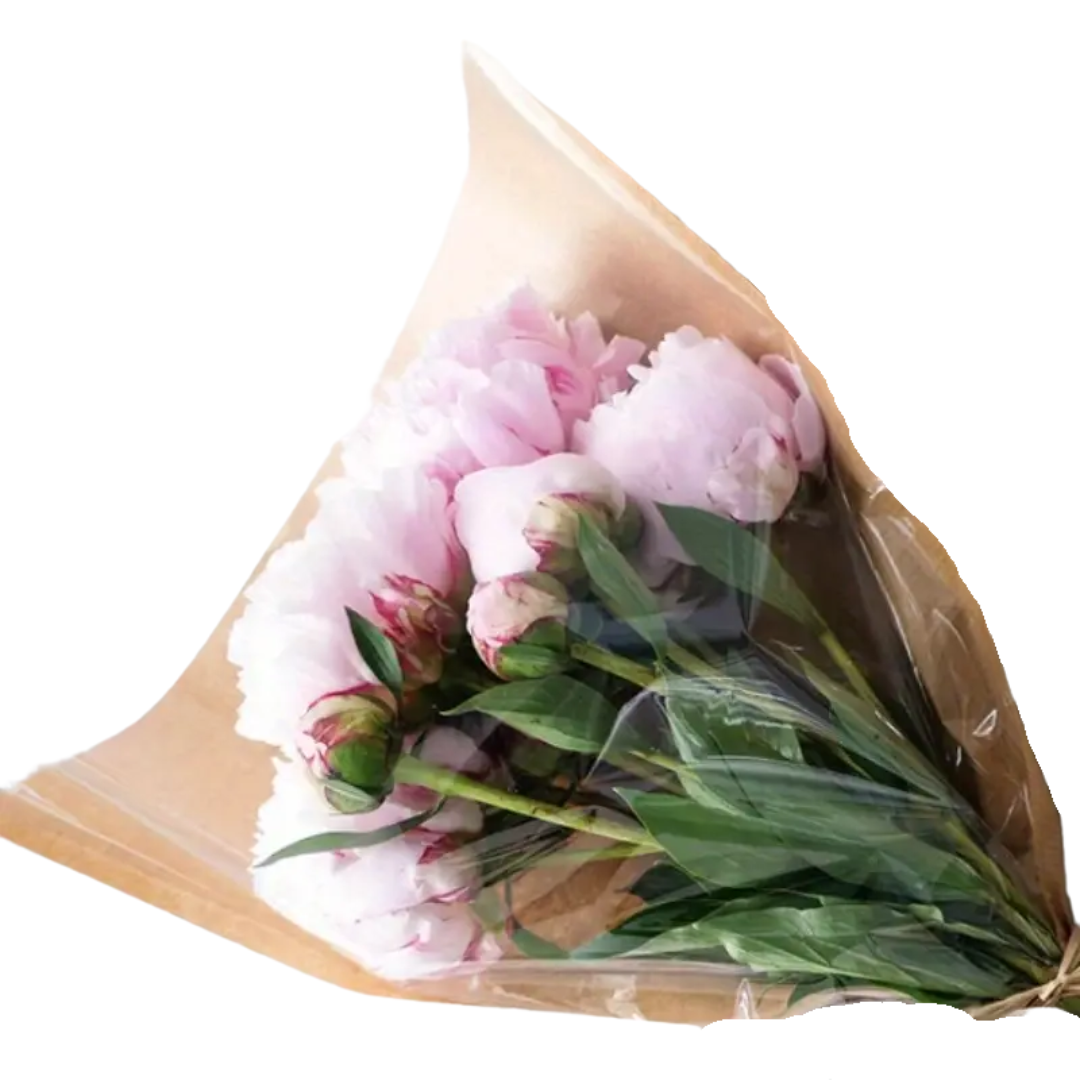 Giftora Wholesale - Wholesale Gift Bag - Kraft Flower Bag - Packaging for Bouquets - 10 Pieces1