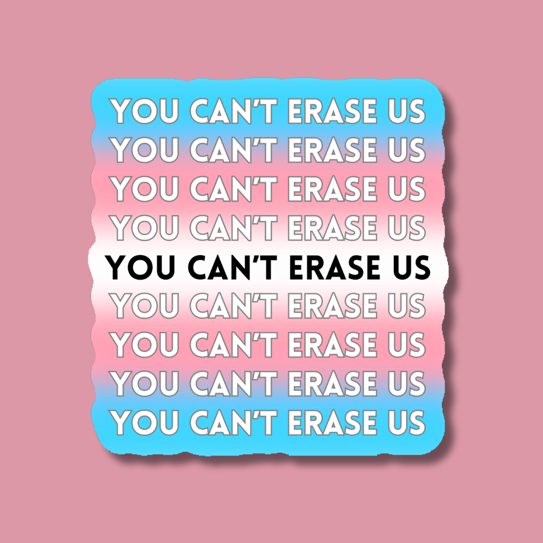 Indigo Maiden - Wholesale Sticker - You Can't Erase Us Trans LGBTQ+ Pride Sticker0