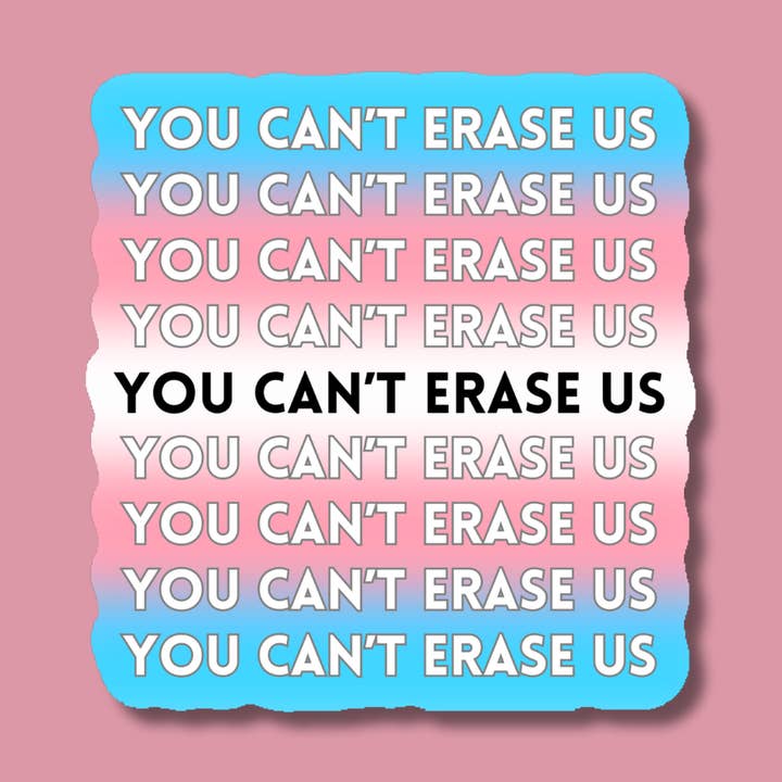 You Can't Erase Us Trans LGBTQ+ Pride Sticker for wholesale by Indigo Maiden