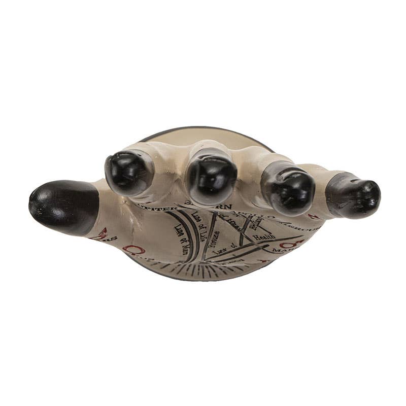 Pacific Trading - Wholesale Decorative Tabletop Object - Palmistry Hand5