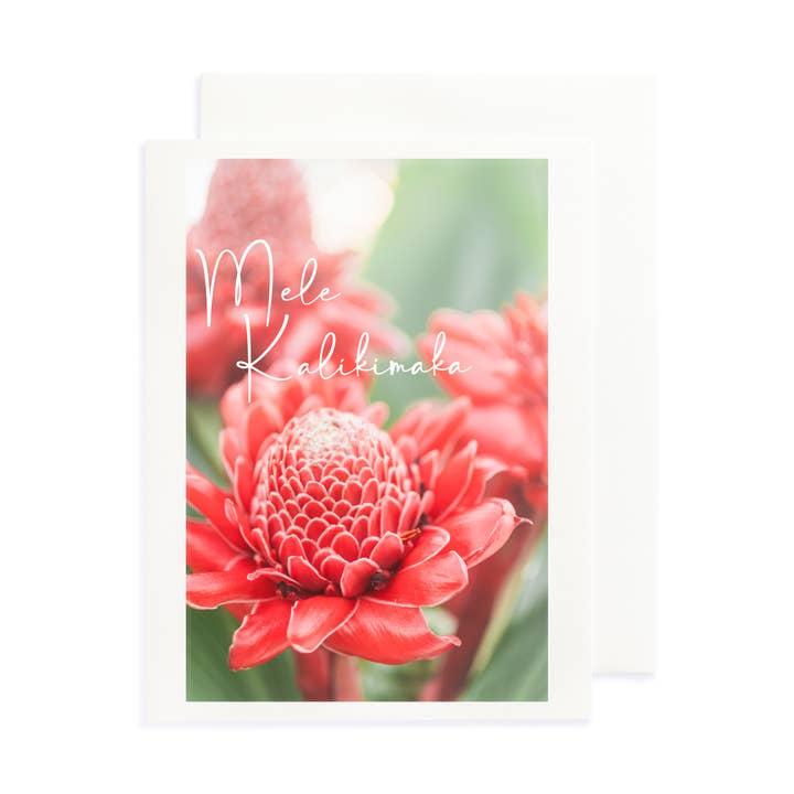 Mele Kalikimaka Greeting Card for wholesale by Sea Light Print Shop
