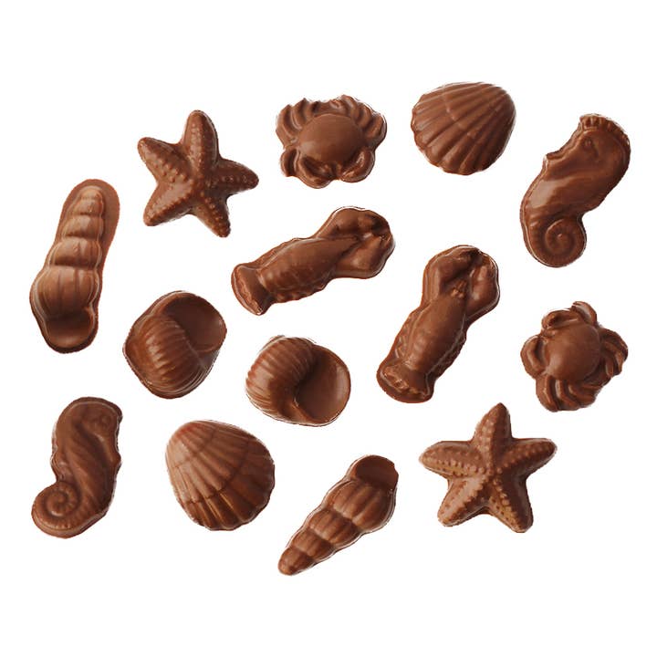 Chocolate Sea Shells for wholesale by Vermont Nut Free Chocolates