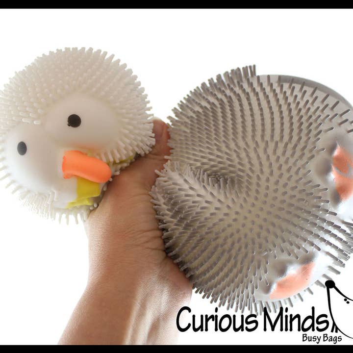 Curious Minds Toys - Wholesale Squishy toy – Kids & Baby - 1 JUMBO Seagull Puffer Air- Filled Squeeze Gull Pigeon4