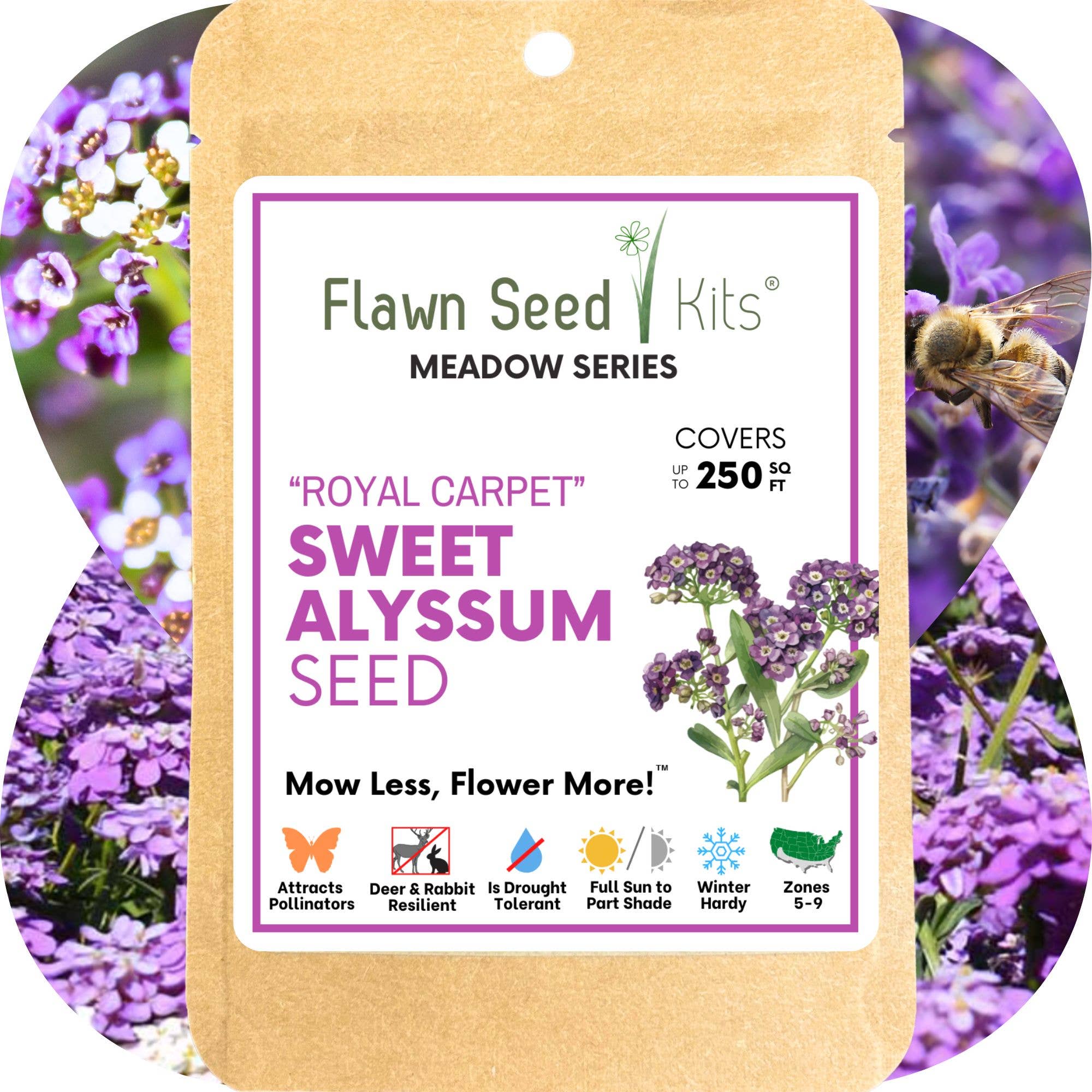 Flawn Seed Kits - Wholesale Plant Seeds - Sweet Alyssum Royal Carpet Seed Pouches0