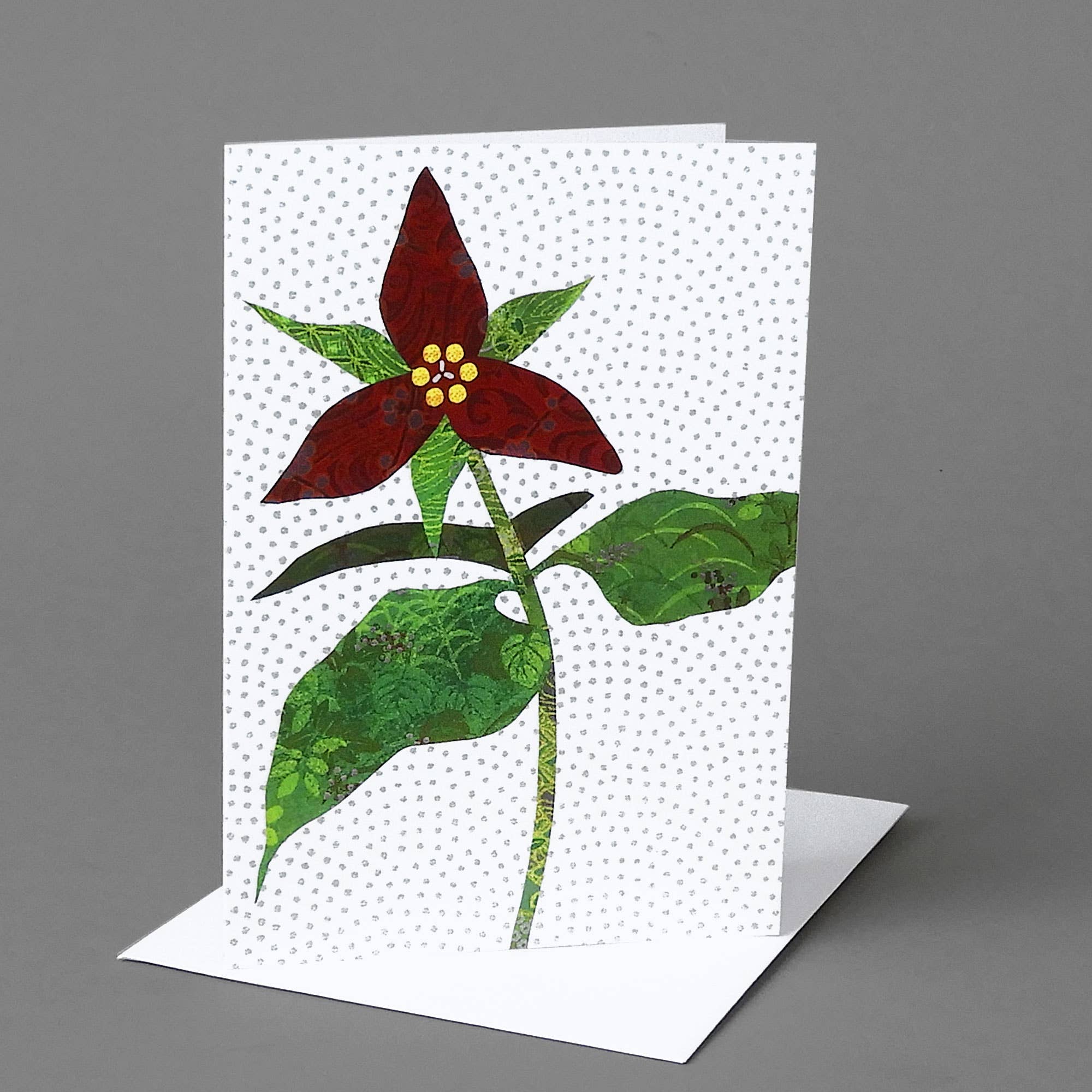 Carve Designs - Wholesale Stationery/Notecard Set - Flower Box: A mixed box of 10 blank notecards 6