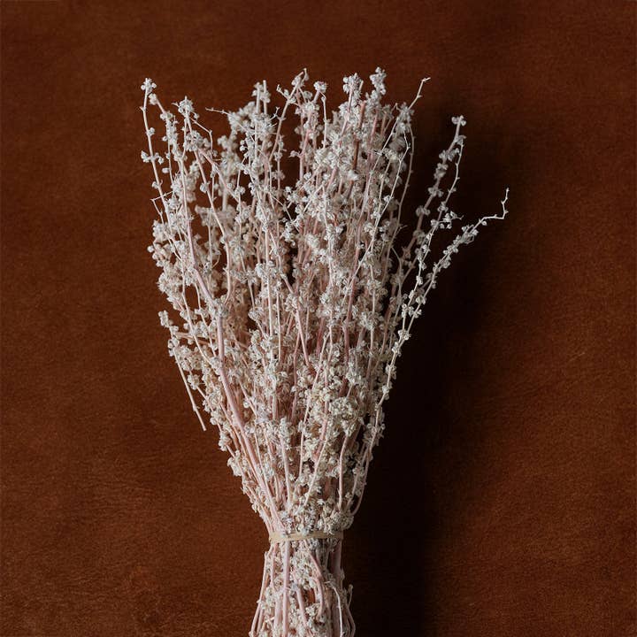Blue Ocean Traders - Wholesale Dried/Pressed Flowers - Mixed Dried Grasses and Florals Multicolor, 12"