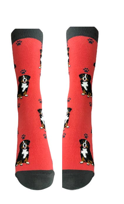 E&amp;S Pets – wholesale Socks – Unisex – Bernese Mt. Dog - Unisex - Fun Novelty Socks - Dog Socks2