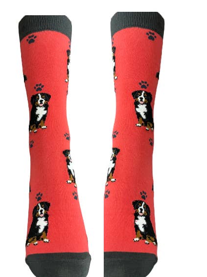 E&S Pets - Wholesale Socks - Unisex - Bernese Mt. Dog - Unisex - Fun Novelty Socks - Dog Socks2