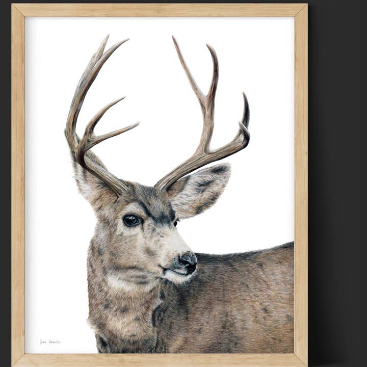"Kilgore" A Vertical Colored Pencil Print for wholesale by Sara Forbush Art