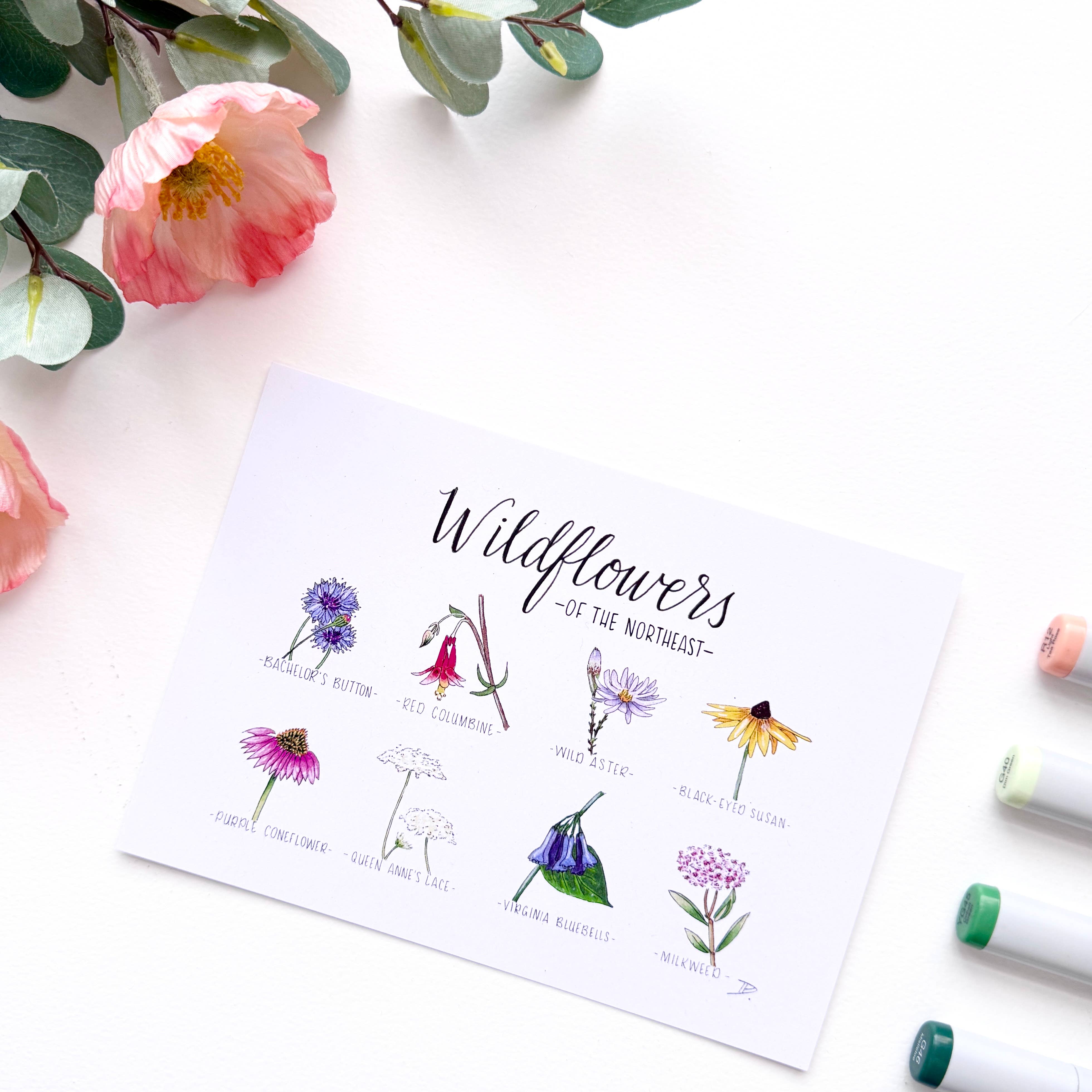 D. Prince Designs - Wholesale Art Print - Wildflowers of the Northeast | Recycled Cardstock Print6