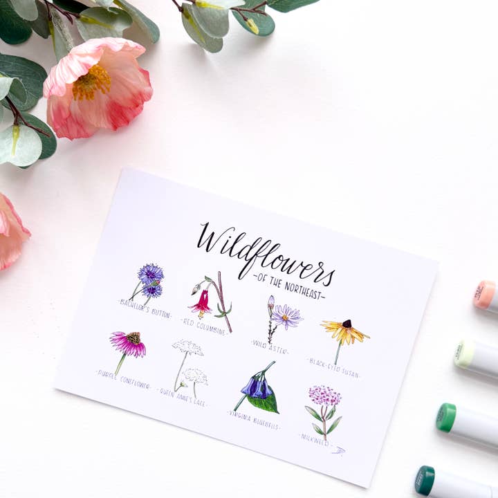 D. Prince Designs - Wholesale Art Print - Wildflowers of the Northeast | Recycled Cardstock Print6